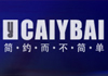 YCAIYBAI服饰